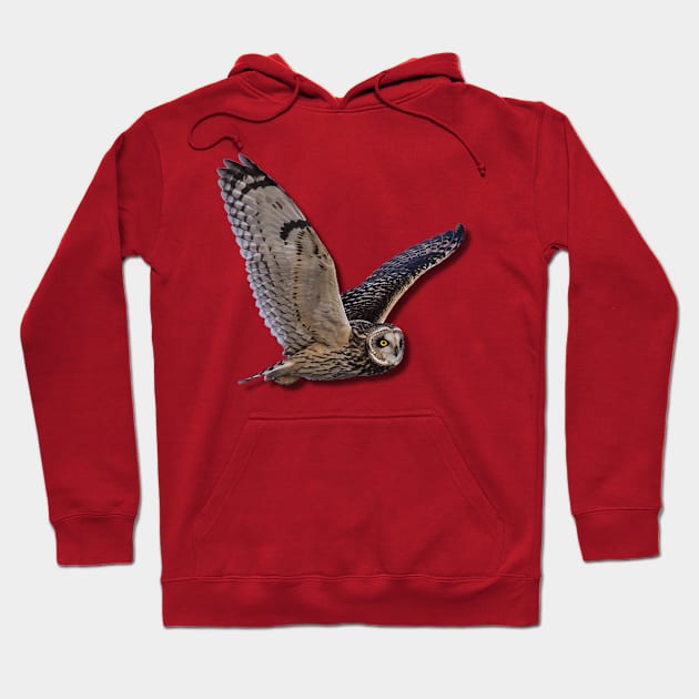 Beautiful Owl Raptor Flight Bird of Prey Birding Birder Gift Hoodie by twizzler3b